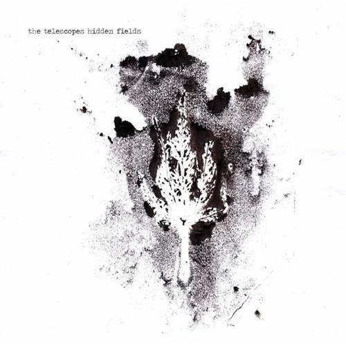 Telescopes Hidden Fields (LP) 